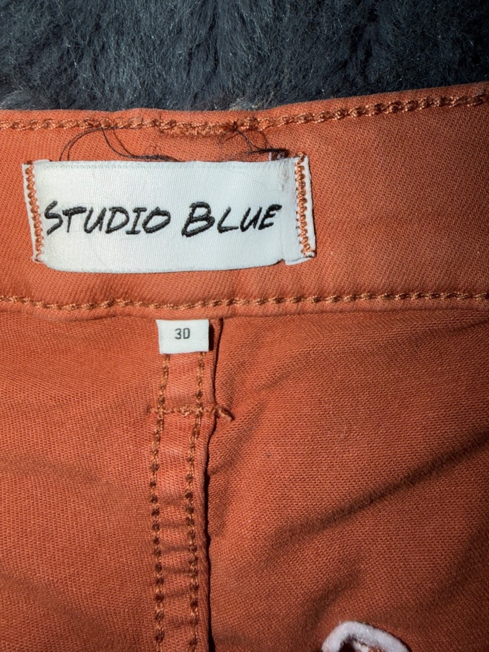 Anthropologie Studio Blue Capris in orange/clay color, Sz 30 - Picture 3 of 4